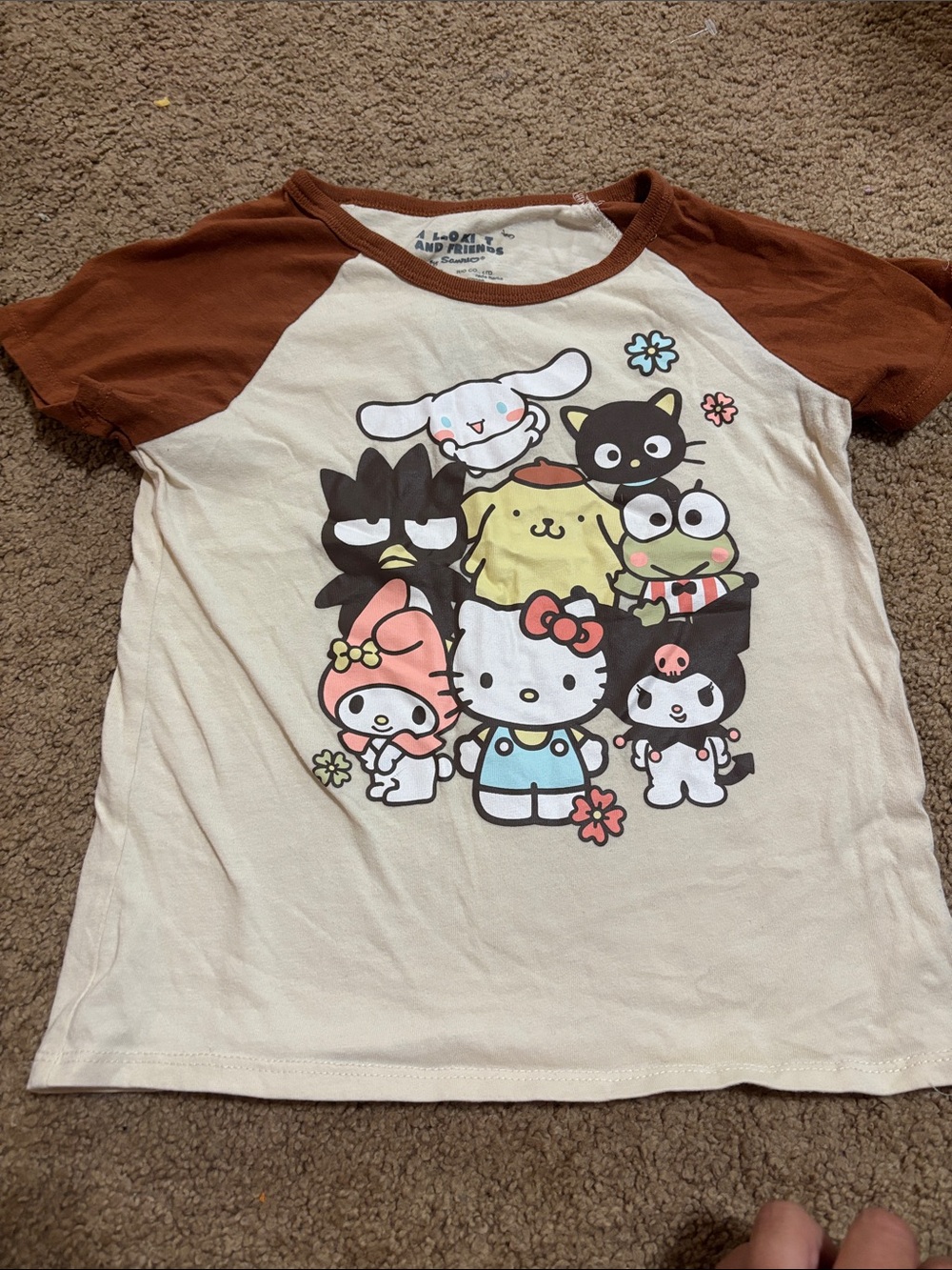 Sanrio Cream Tee with Brown Raglan Sleeves - Character Group Graphic